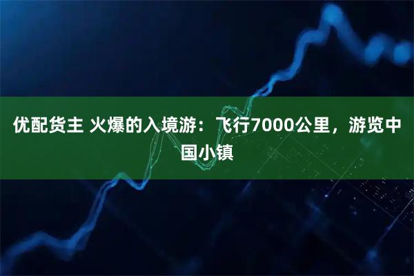 优配货主 火爆的入境游：飞行7000公里，游览中国小镇
