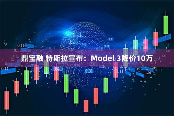 鼎宝融 特斯拉宣布：Model 3降价10万